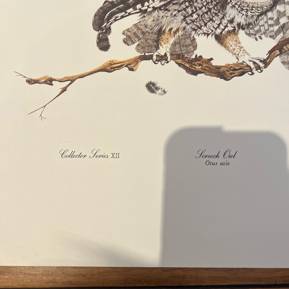Vintage Gene Gray print the screech owl signed print - Picture 4 of 7